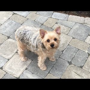 Meet your Posher, Gail